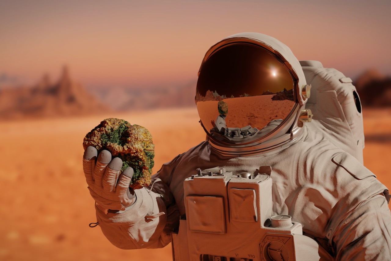 mars astronaut